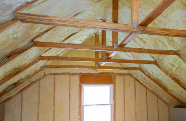 Best Insulation Installation Services in Pinch, WV